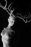 Deer Lady, 2013, Digital Print, 