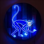 Monkey, 2016, Acrylic and neon light on wooden panel, Diameter 100 cm.