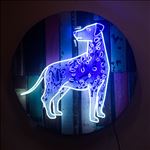 Dog, 2016, Acrylic and neon light on wooden panel, Diameter 100 cm.