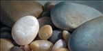 หิน, Pebbles, 2010, Oil on canvas, 100x200cm