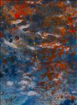 Where Nature Meets Nature 1, 2026, Acrylic on canvas	, 80 x 60 cm