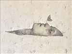 The butterfly no.21, 2026, Powder color and acrylic on wooden panel, 80 x 60 cm