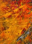 Where Nature Meets Nature 2, 2026, Acrylic on canvas	, 80 x 60 cm